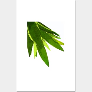 PALM LEAF GEEN TROPICAL ISLAND FOILAGE Posters and Art